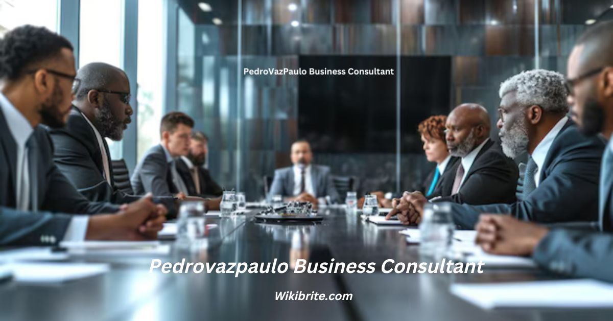 Pedrovazpaulo Business Consultant